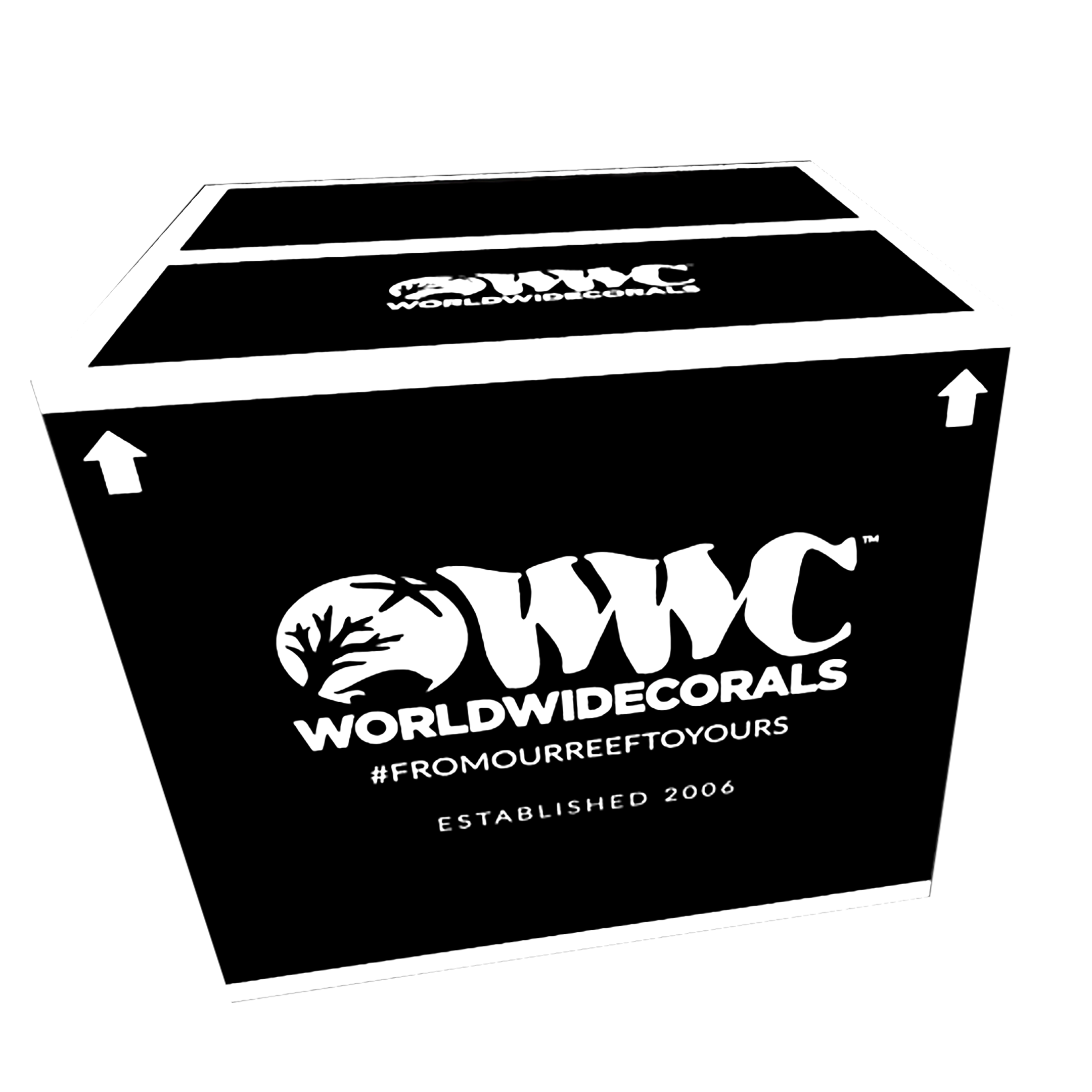 Black Friday Shipping