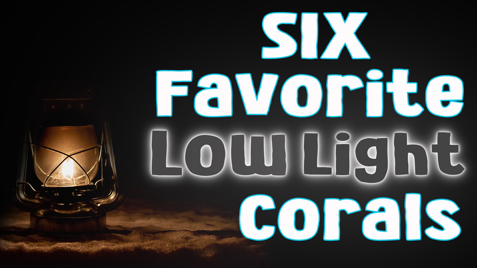 Six Favorite Low Light Corals