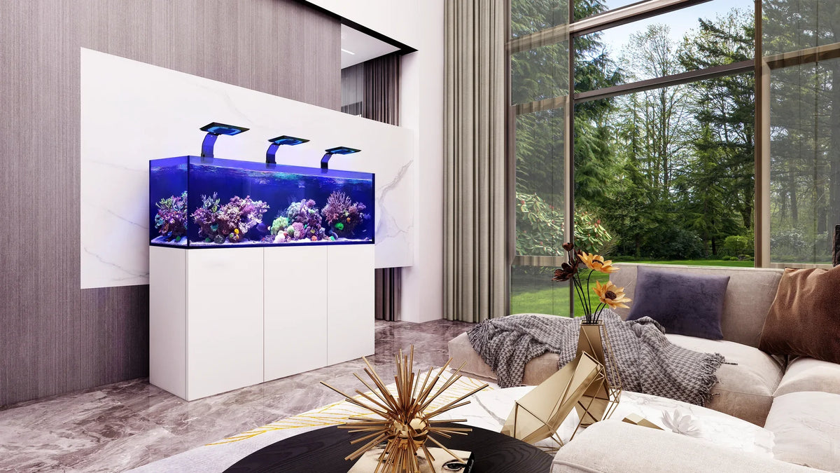 Maxspect Aquariums Online
