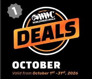 WWC In-Store Flyer October 2026