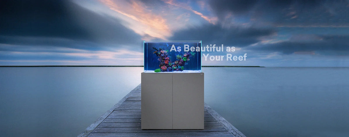 Nyos Aquariums Online