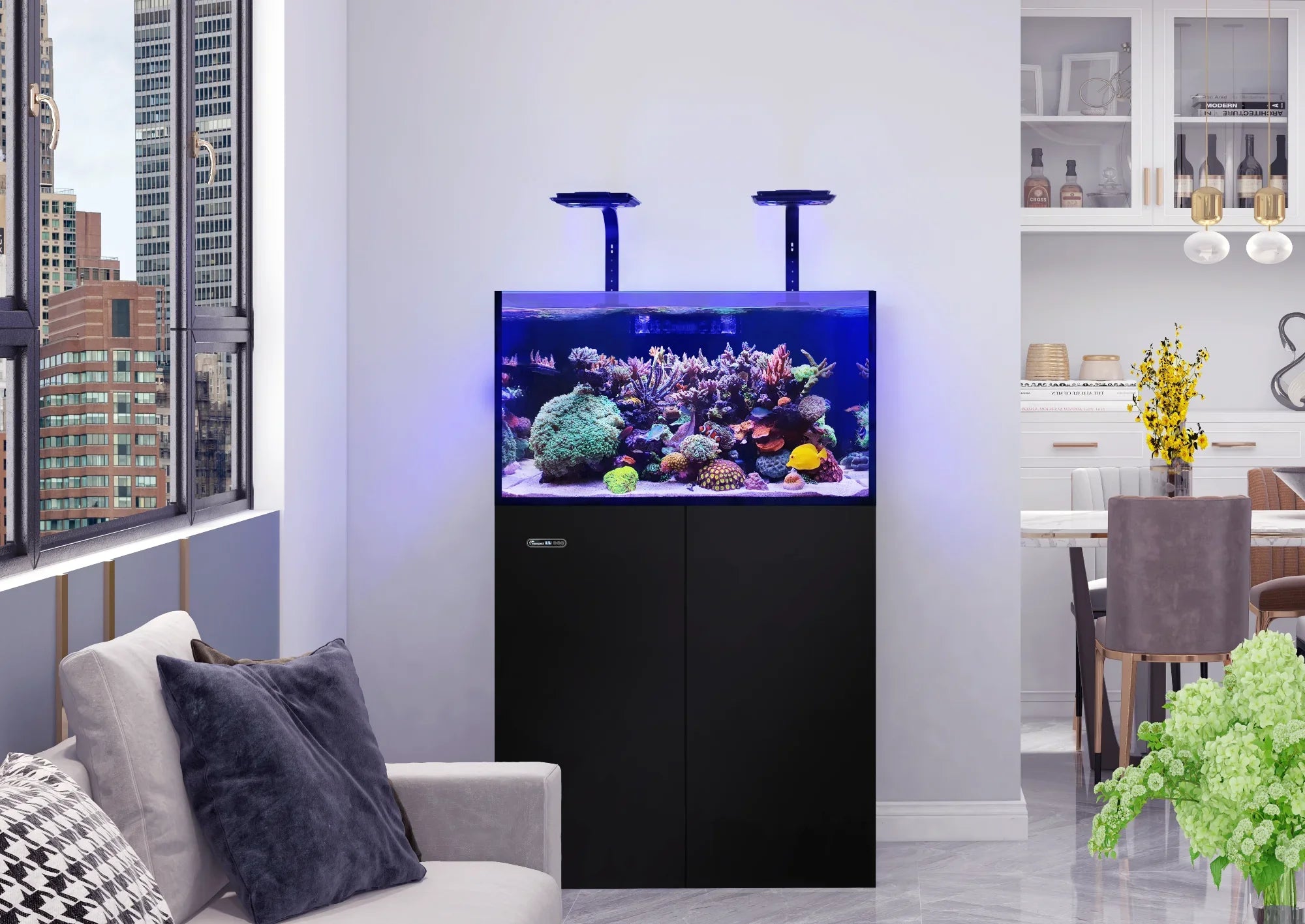 Aquarium Display Tanks