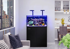 Aquarium Display Tanks