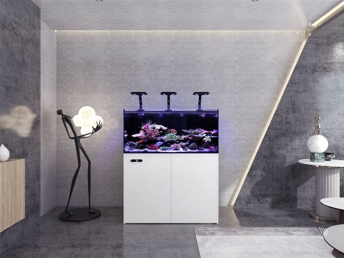 Maxspect Smart Lagoon LS-120 — Rimless Reef Aquarium System (Copy)