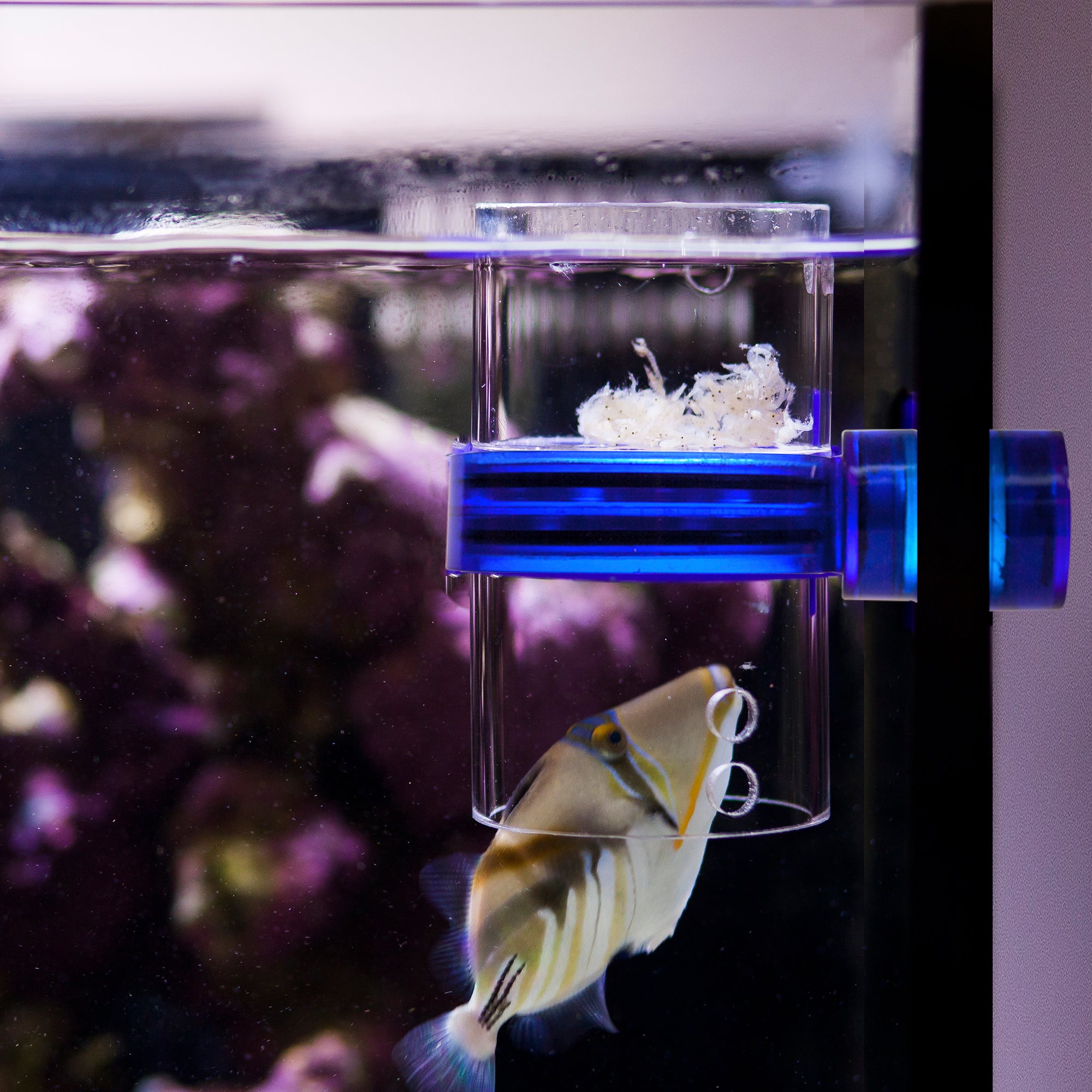 Innovative Marine Gourmet Defroster Pro Magnetic Frozen Fish Food Feeder