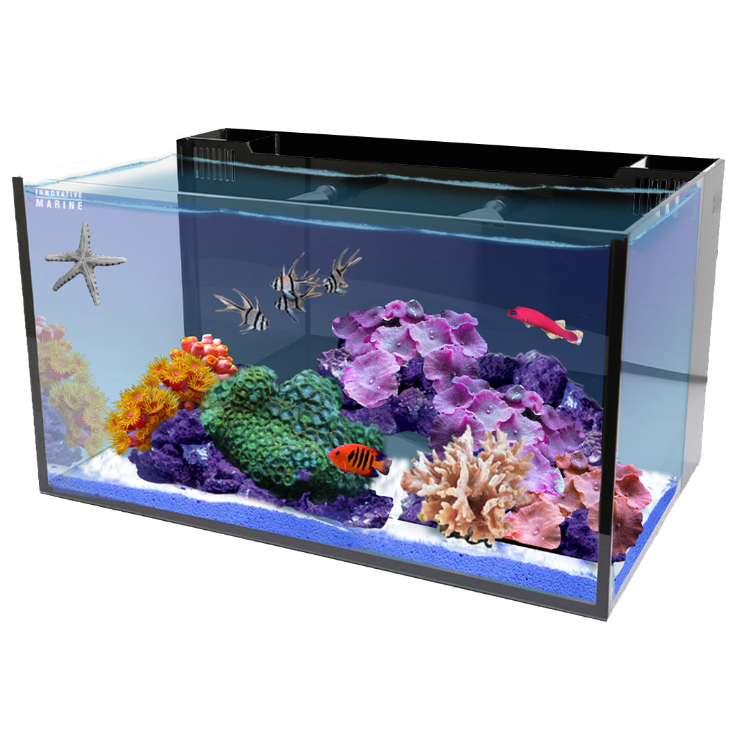 Innovative Marine Fusion 20 AIO Long Aquarium - Desktop Starter Kit