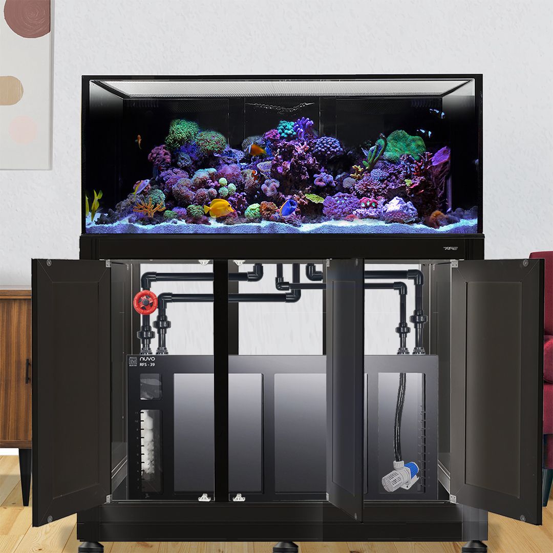 Innovative Marine INT 100 Gallon Complete Reef System