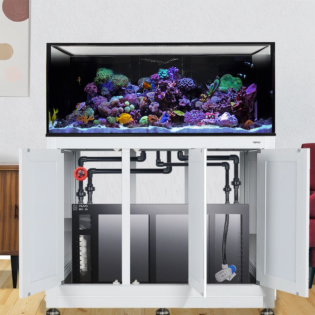 Innovative Marine INT 100 Gallon Complete Reef System