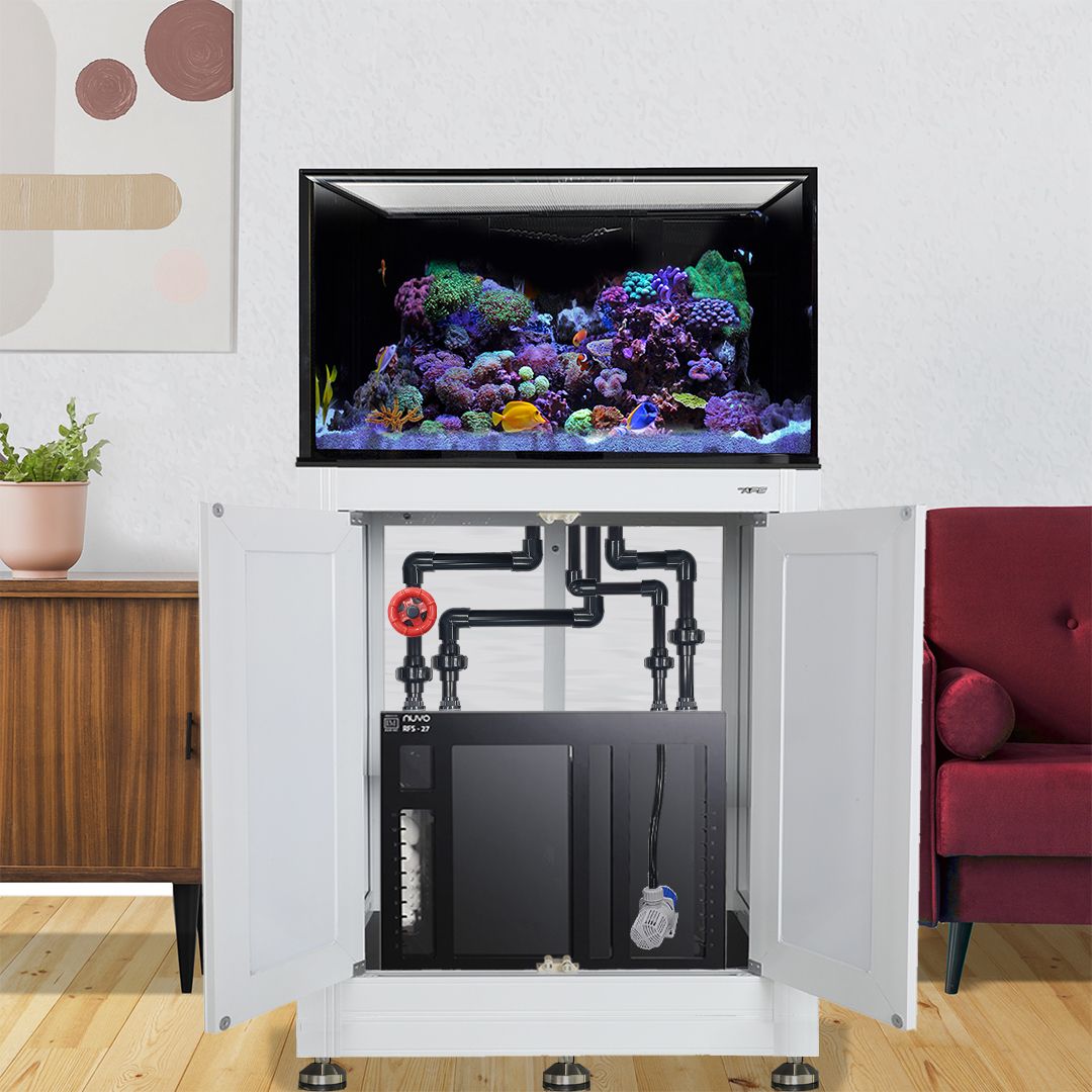 Innovative Marine INT 75 Gallon Complete Reef System