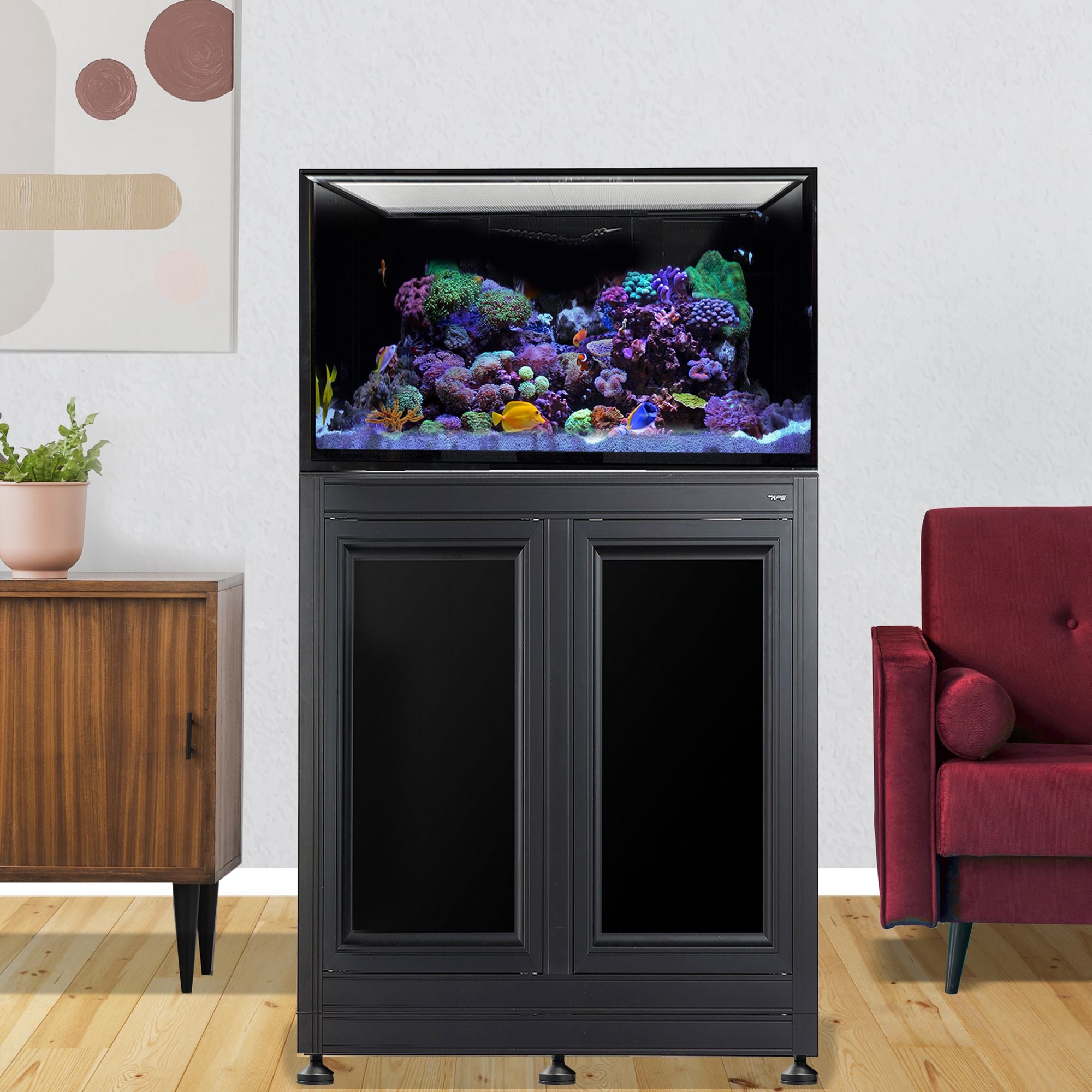 Innovative Marine INT 75 Gallon Complete Reef System