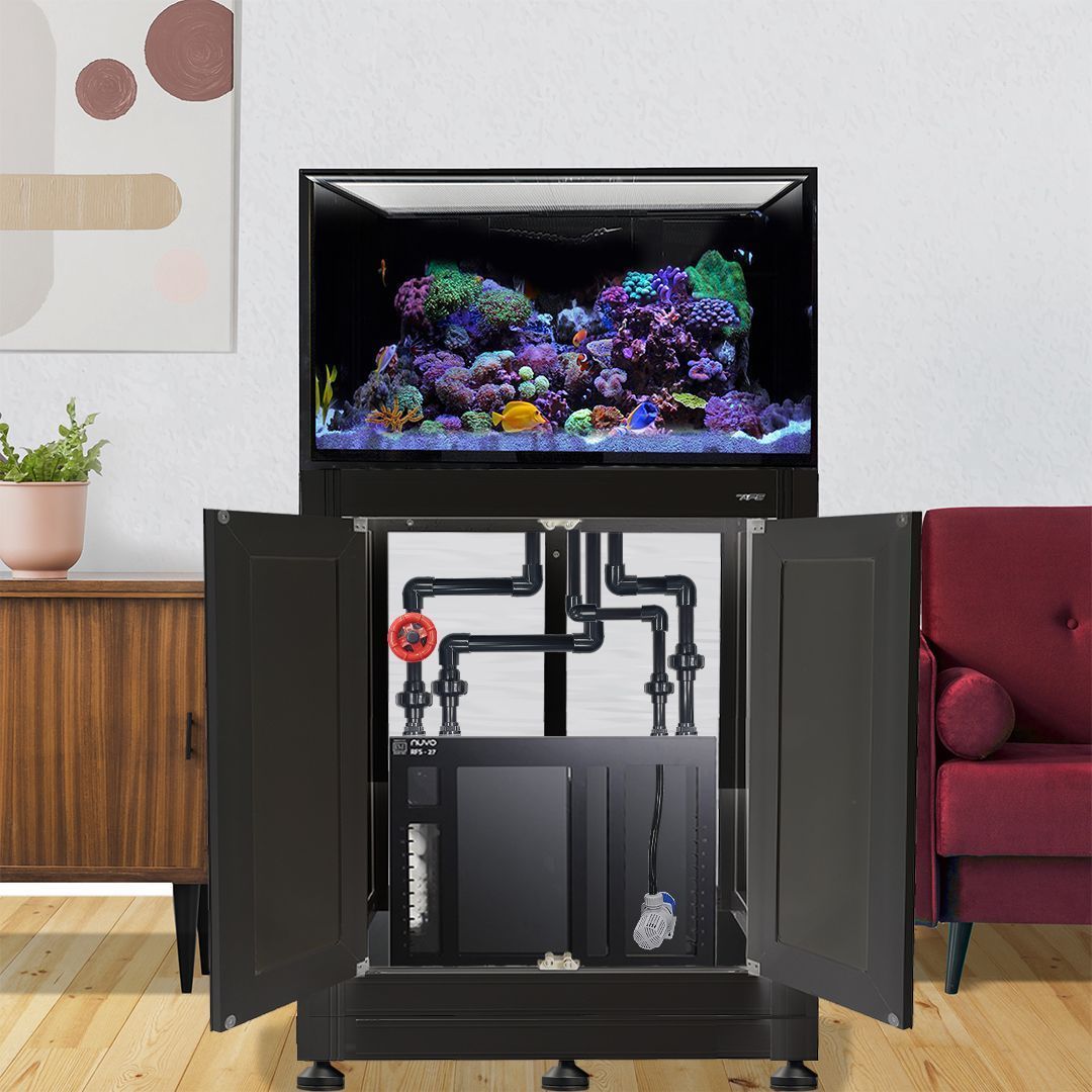 Innovative Marine INT 75 Gallon Complete Reef System