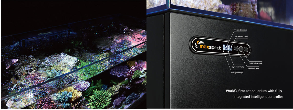 Maxspect Smart Lagoon LS-60 — Rimless Reef Aquarium System