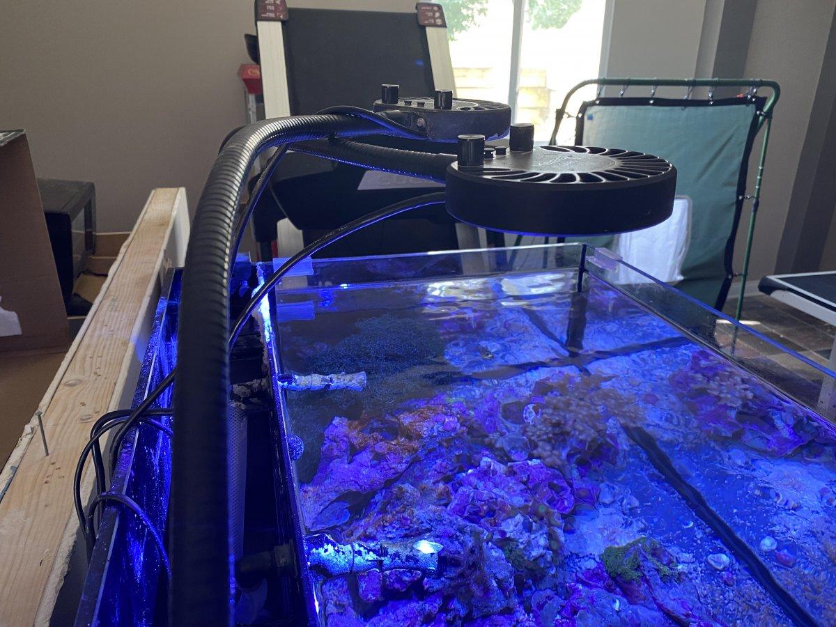 Kessil A80 Tuna Blue LED Aquarium Light