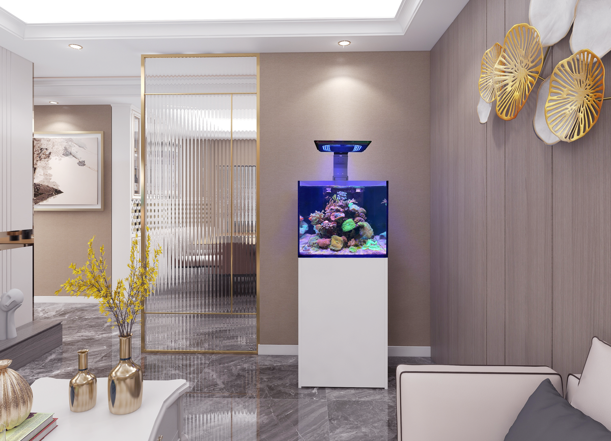 Maxspect Lagoon Reef-Ready LR-60 — Rimless Reef Aquarium System