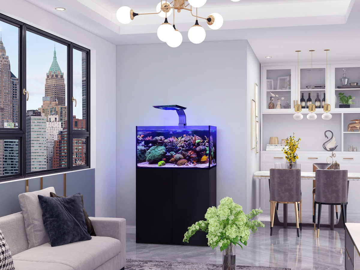 Maxspect Lagoon Reef-Ready LR-90 — Rimless Reef Aquarium System