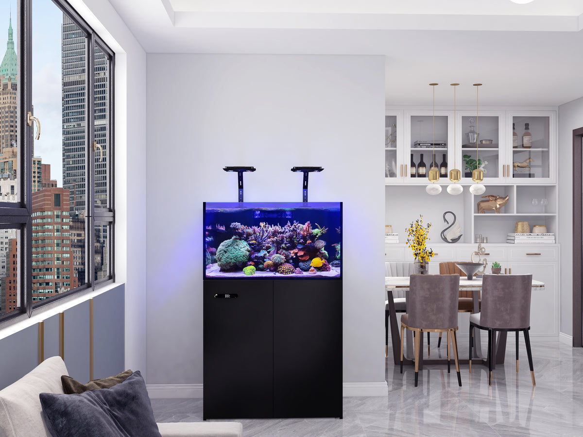 Maxspect Smart Lagoon LS-90 — Rimless Reef Aquarium System