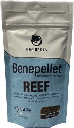 Fish Food