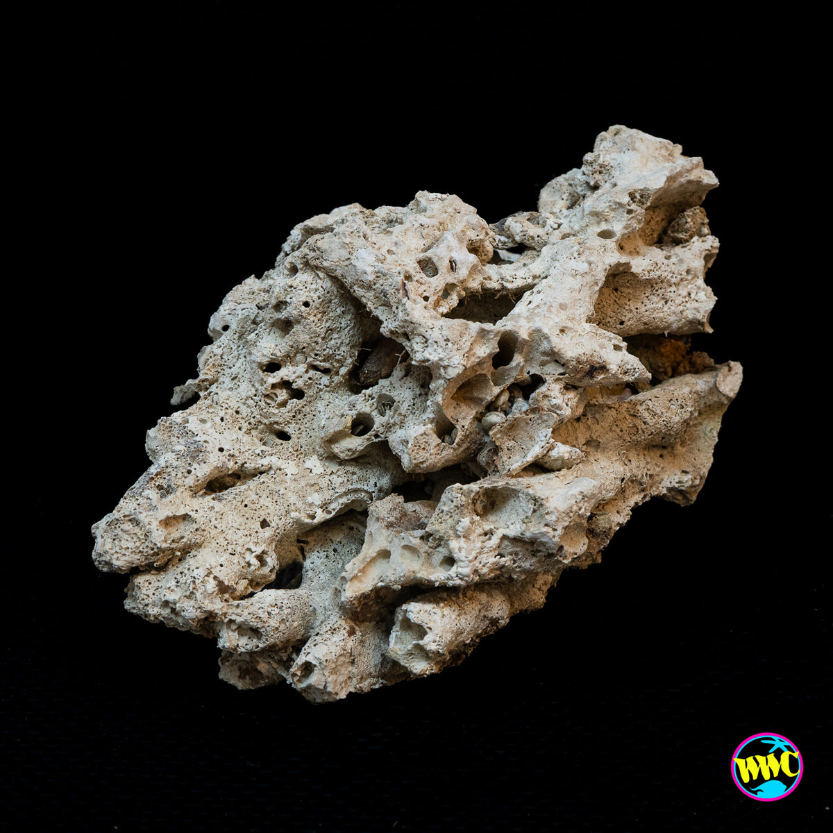 Pukani Dry Rock WYSIWYG #22
