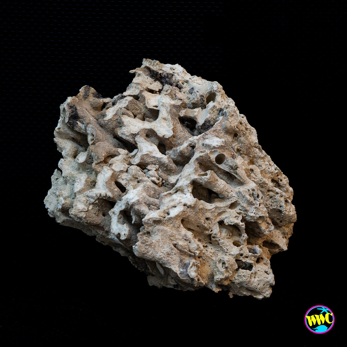 Pukani Dry Rock WYSIWYG #23