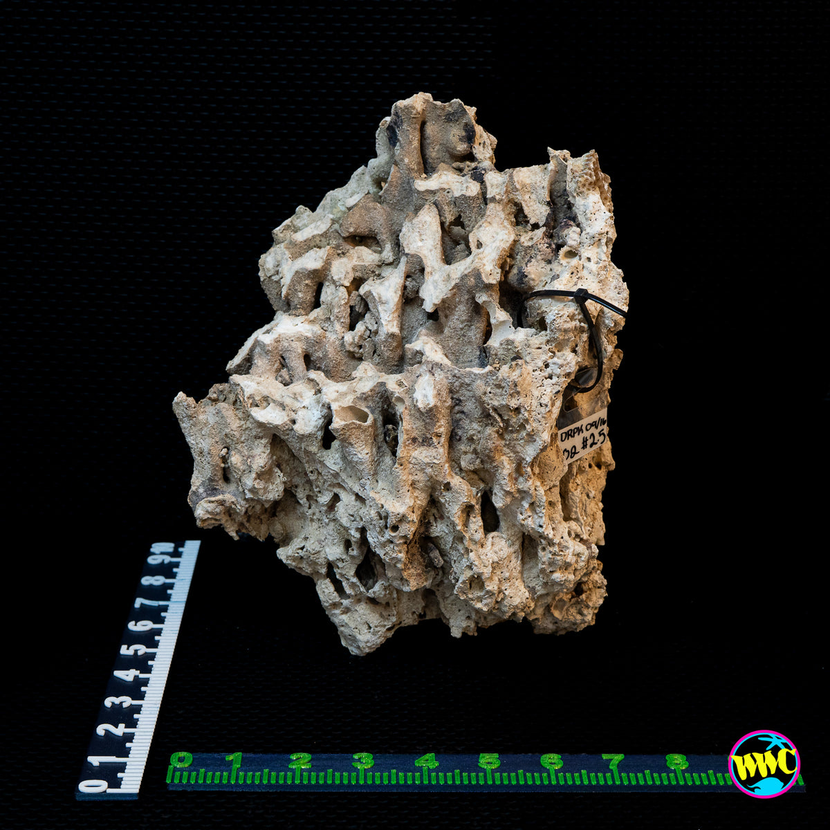 Pukani Dry Rock WYSIWYG #23