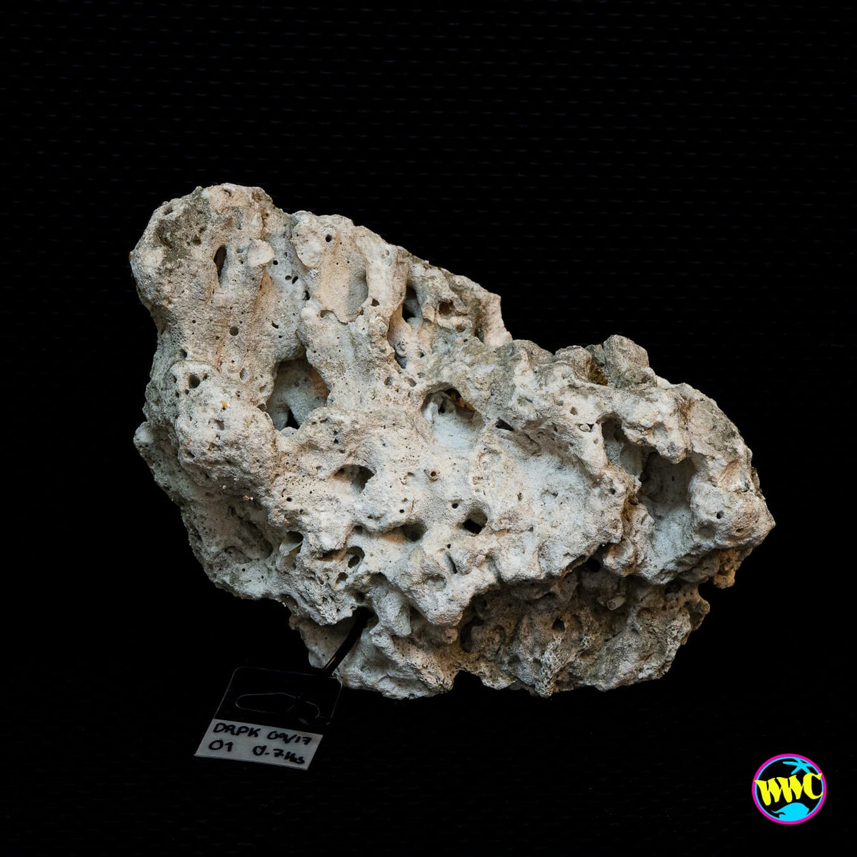 Pukani Dry Rock WYSIWYG #1