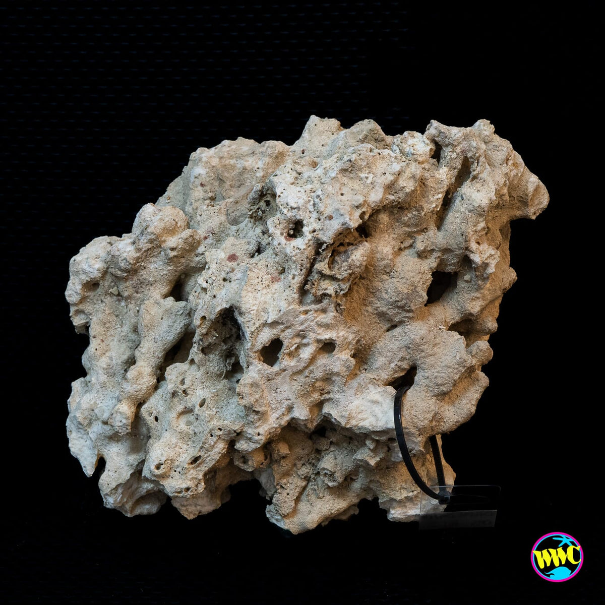 Pukani Dry Rock WYSIWYG #5