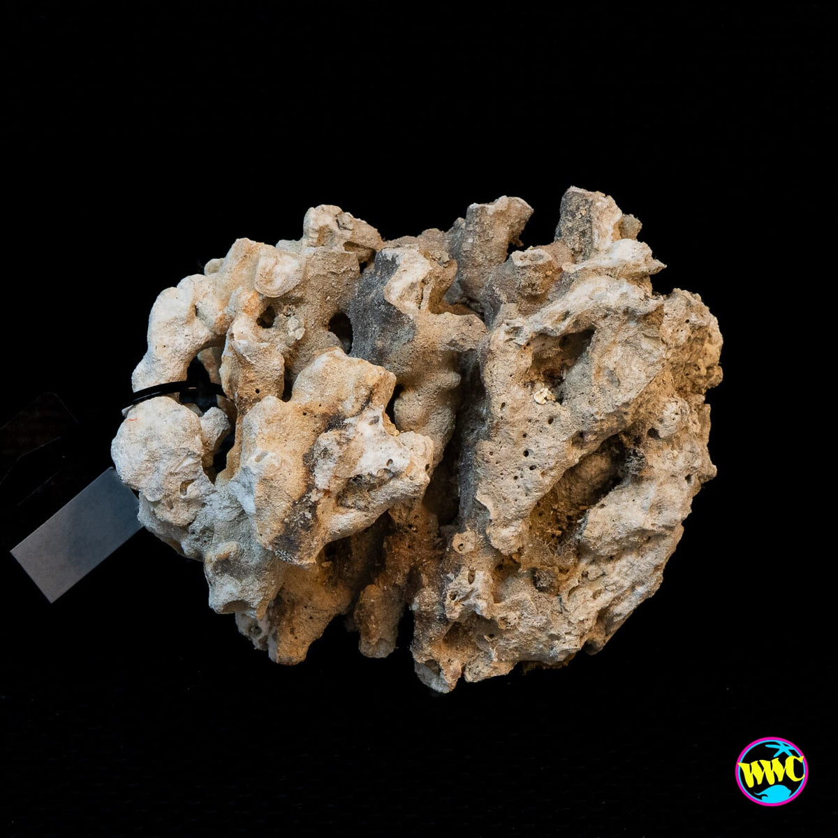 Pukani Dry Rock WYSIWYG #6