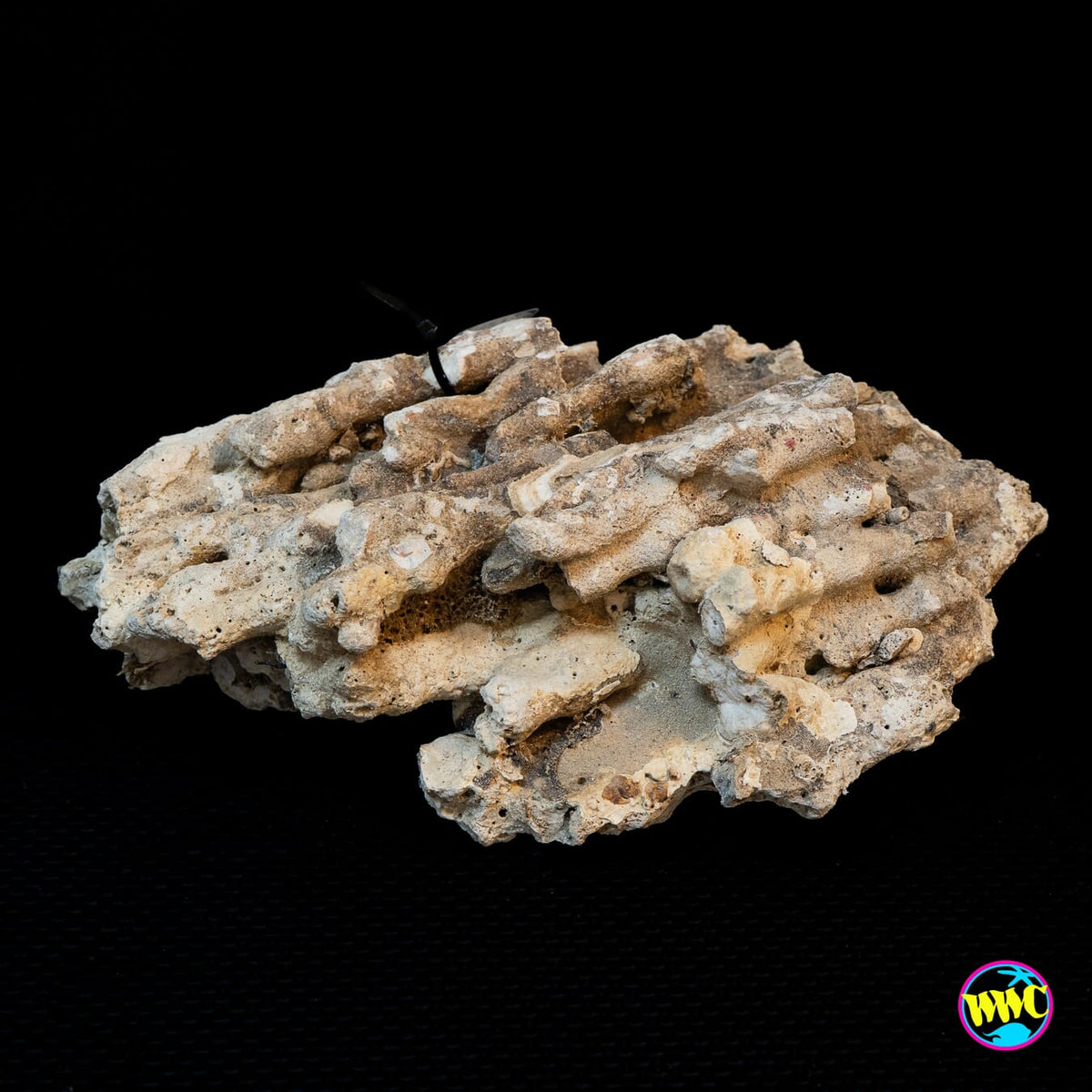 Pukani Dry Rock WYSIWYG #11