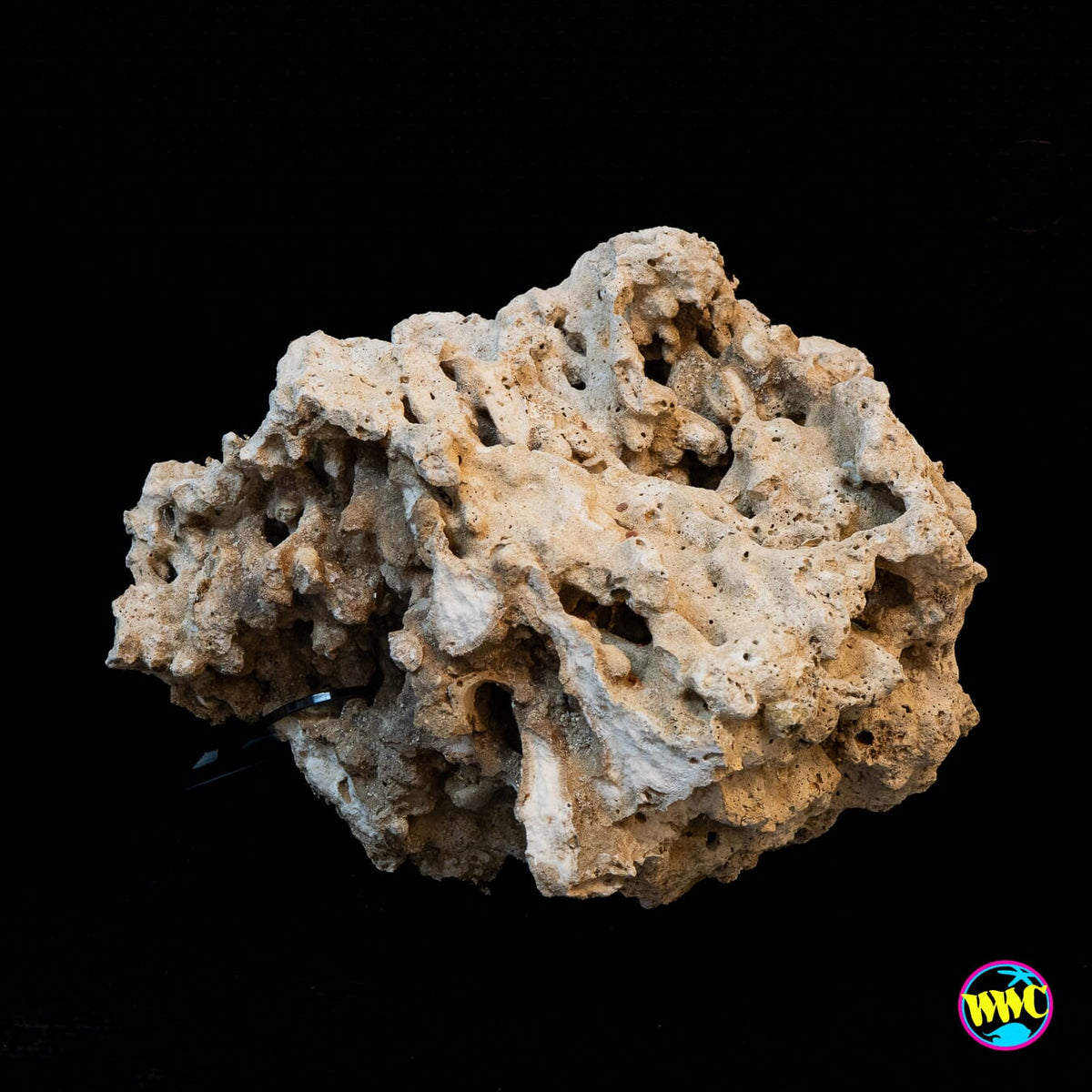 Pukani Dry Rock WYSIWYG #15