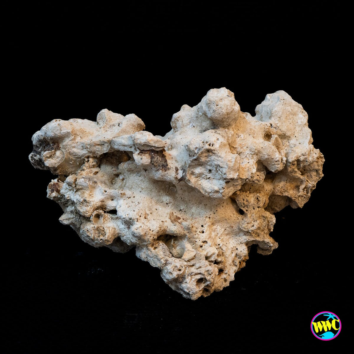 Pukani Dry Rock WYSIWYG #18
