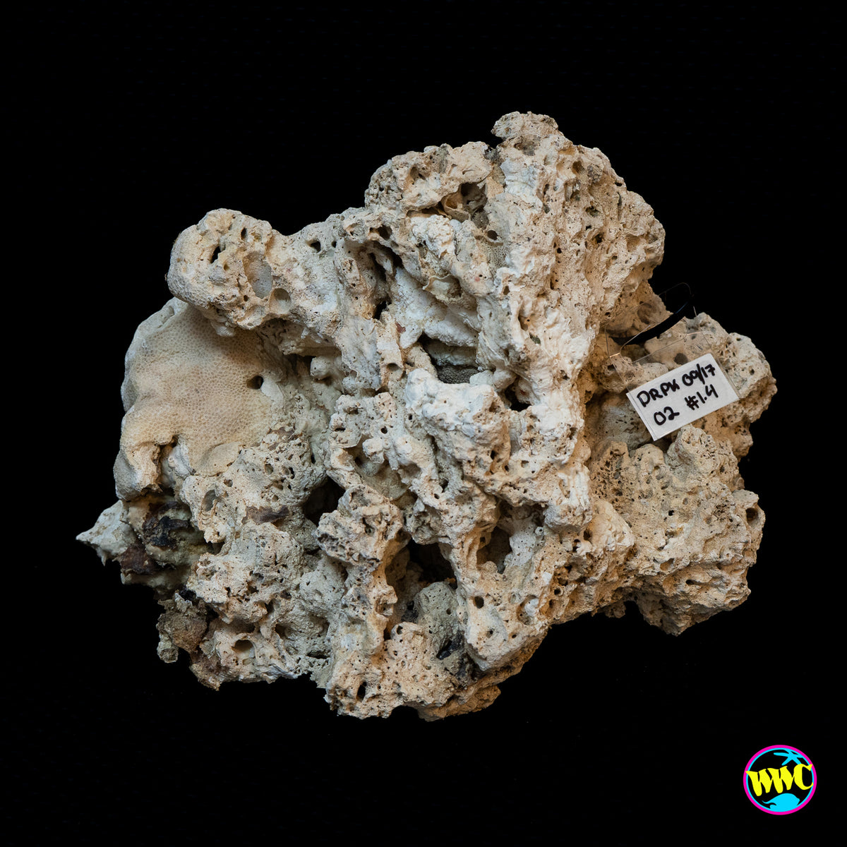 Pukani Dry Rock WYSIWYG #2