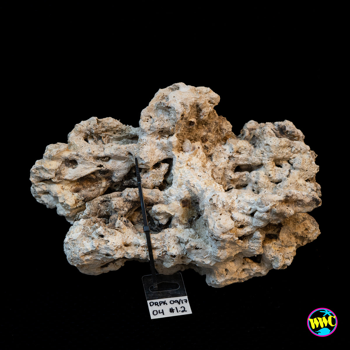 Pukani Dry Rock WYSIWYG #4