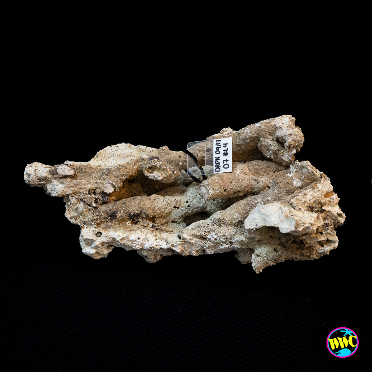 Pukani Dry Rock WYSIWYG #7