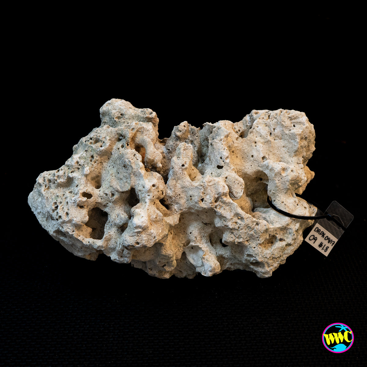 Pukani Dry Rock WYSIWYG #9