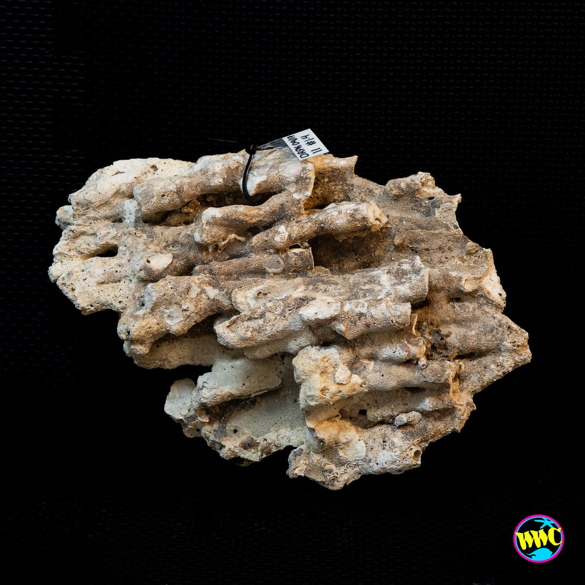 Pukani Dry Rock WYSIWYG #11