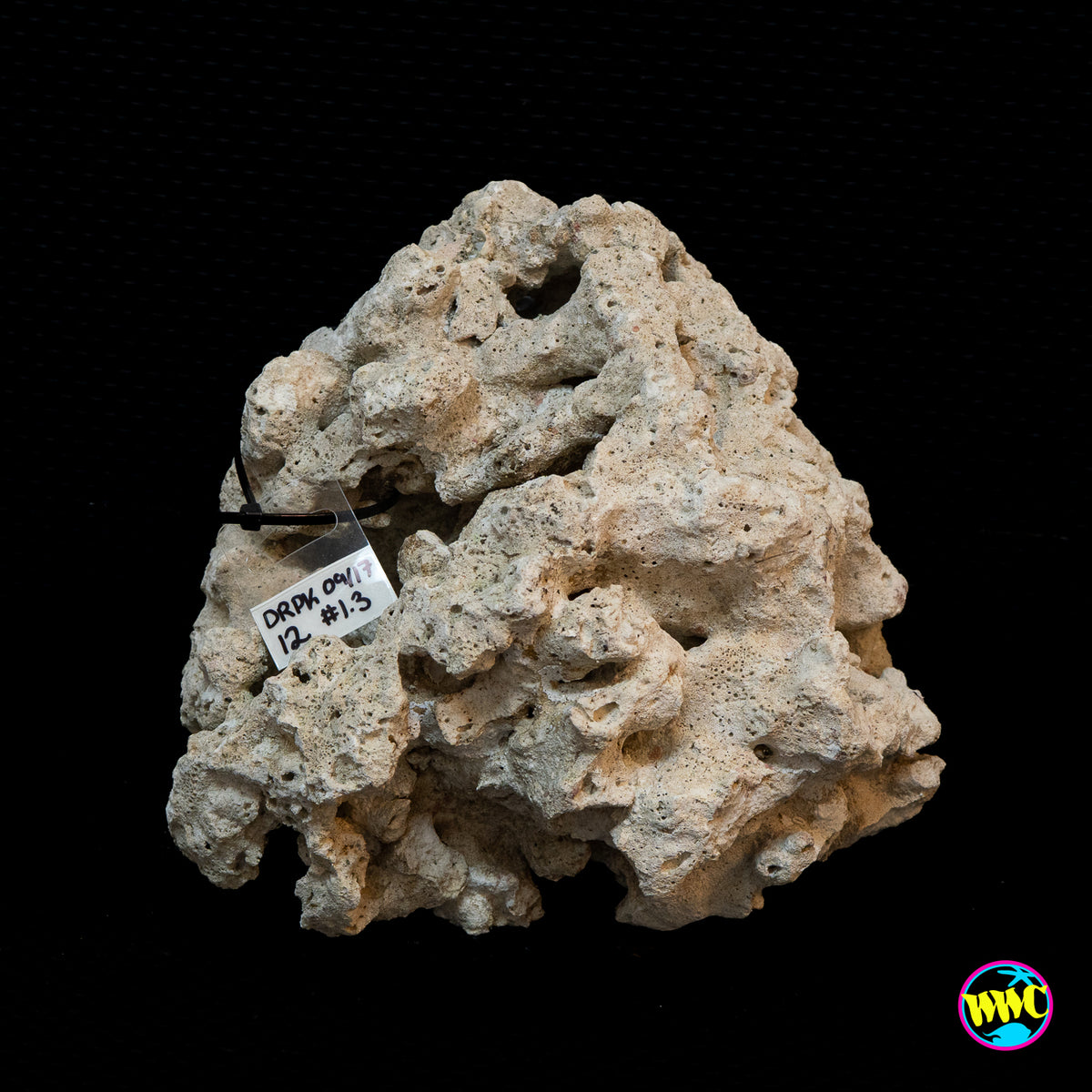 Pukani Dry Rock WYSIWYG #12