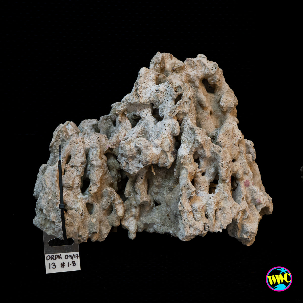 Pukani Dry Rock WYSIWYG #13
