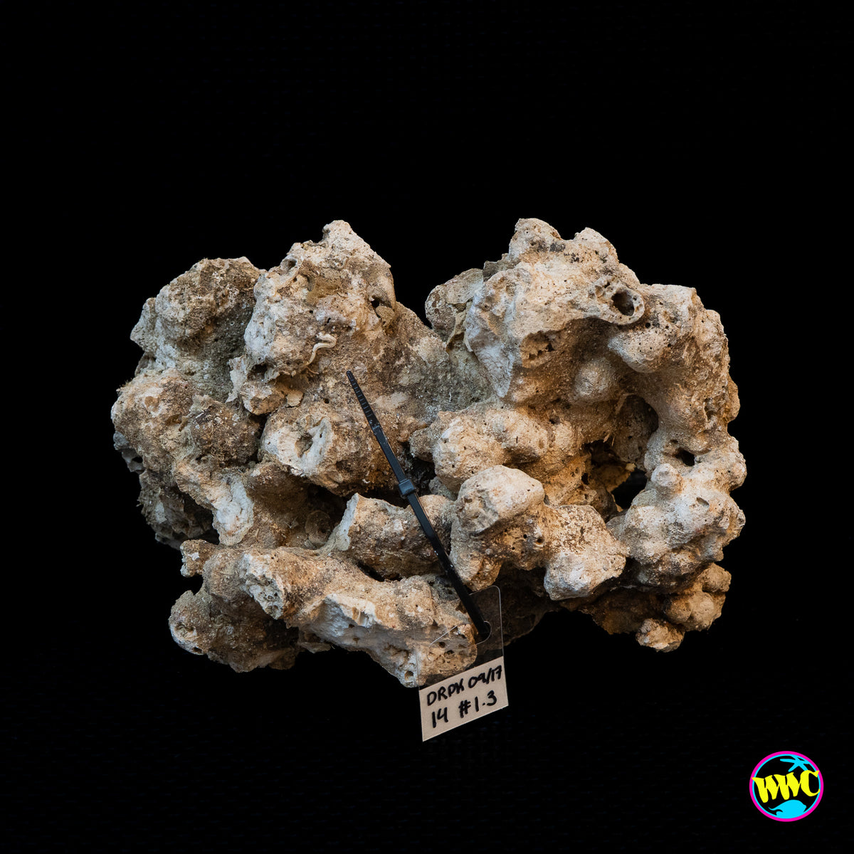 Pukani Dry Rock WYSIWYG #14