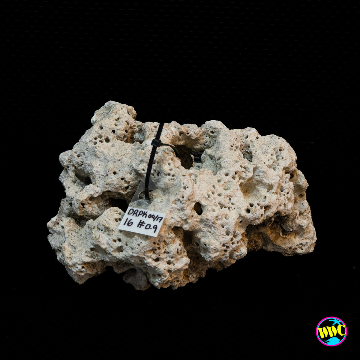 Pukani Dry Rock WYSIWYG #16