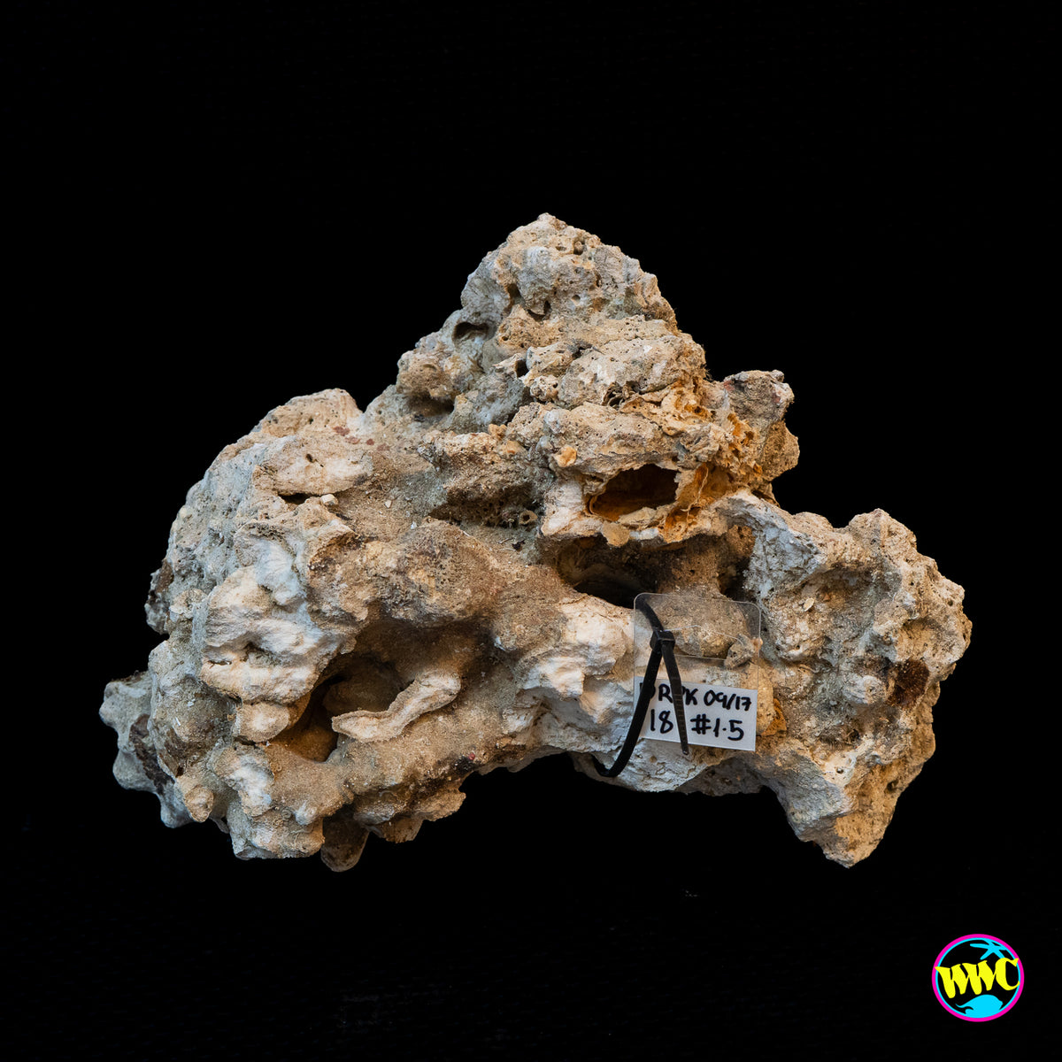Pukani Dry Rock WYSIWYG #18