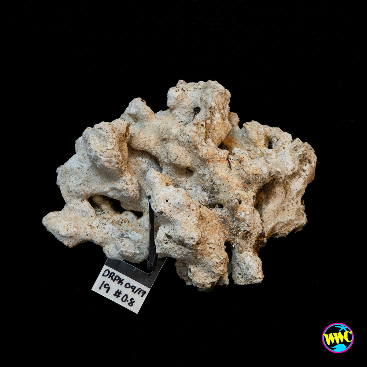 Pukani Dry Rock WYSIWYG #19