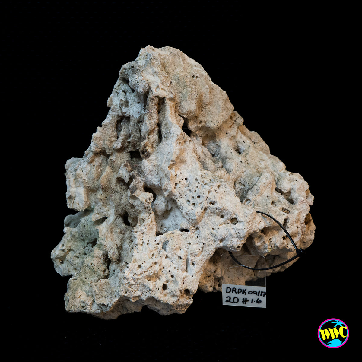Pukani Dry Rock WYSIWYG #20