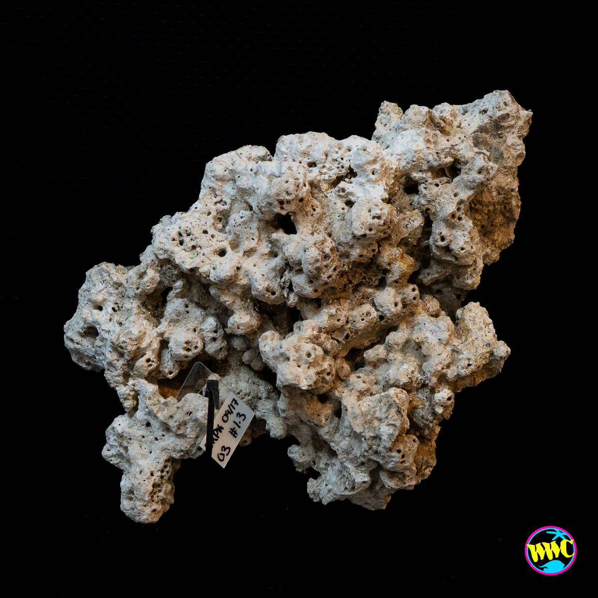 Pukani Dry Rock WYSIWYG #3