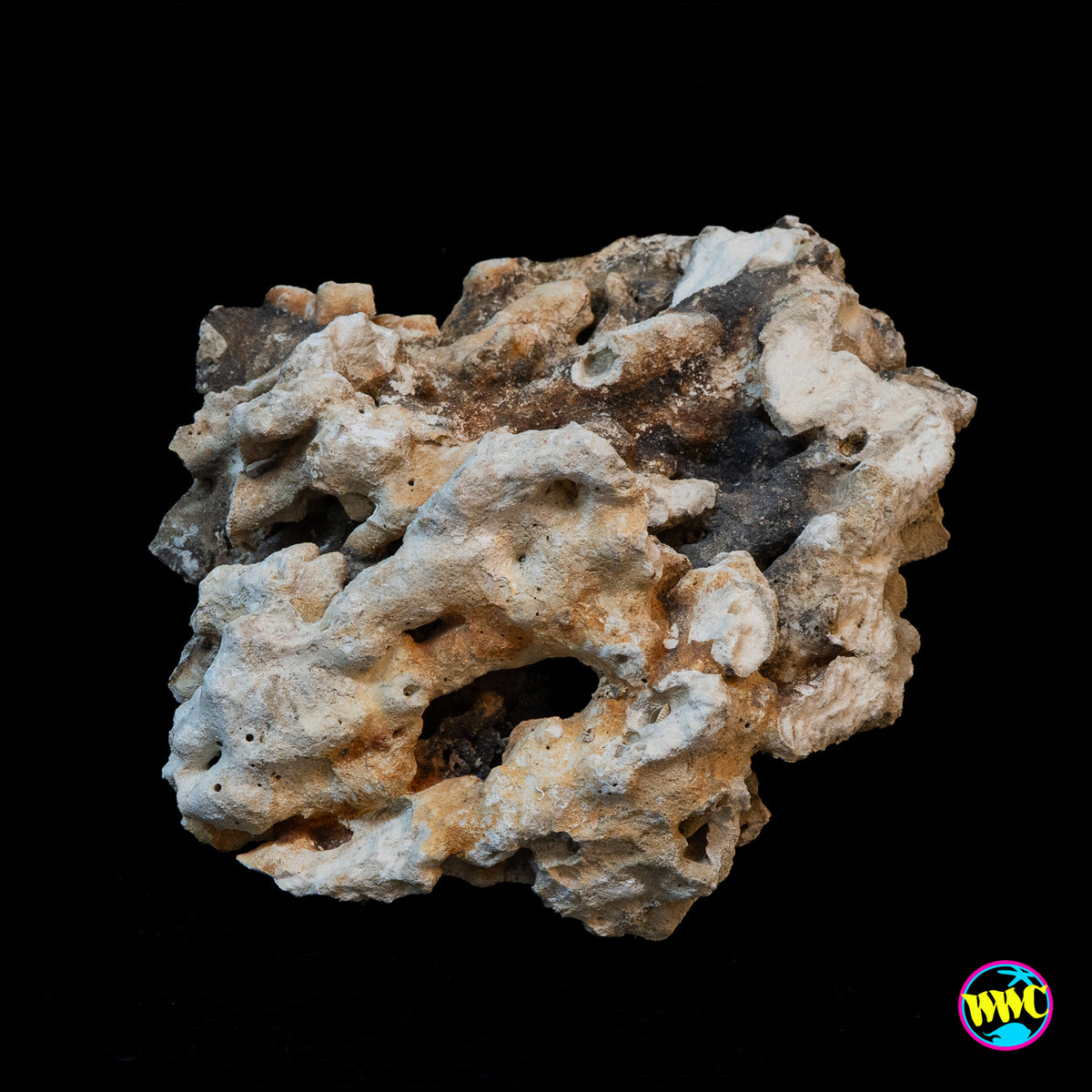 Pukani Dry Rock WYSIWYG #5
