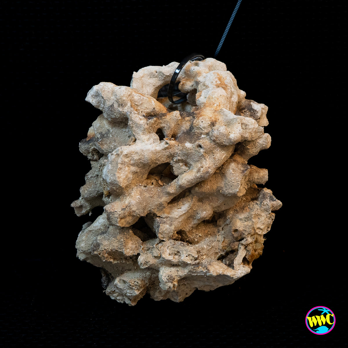 Pukani Dry Rock WYSIWYG #6