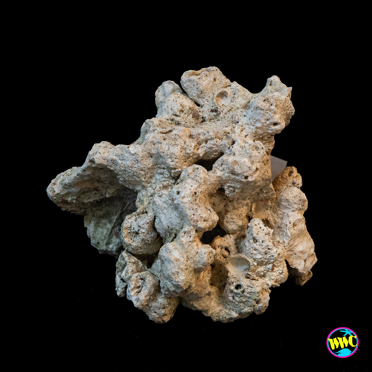 Pukani Dry Rock WYSIWYG #8