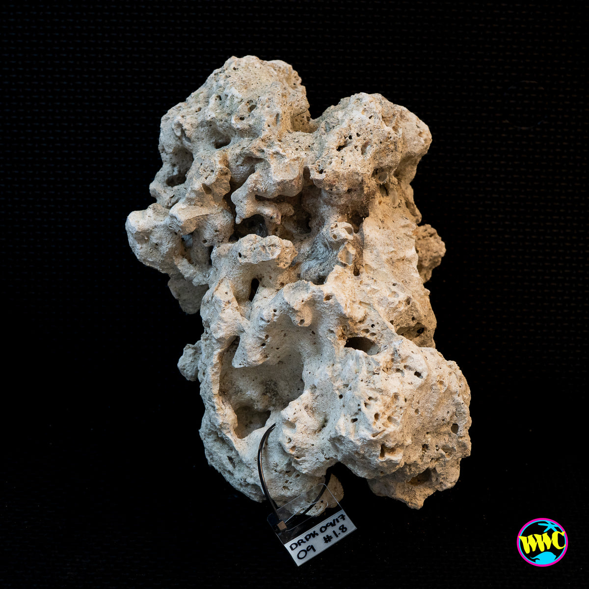 Pukani Dry Rock WYSIWYG #9