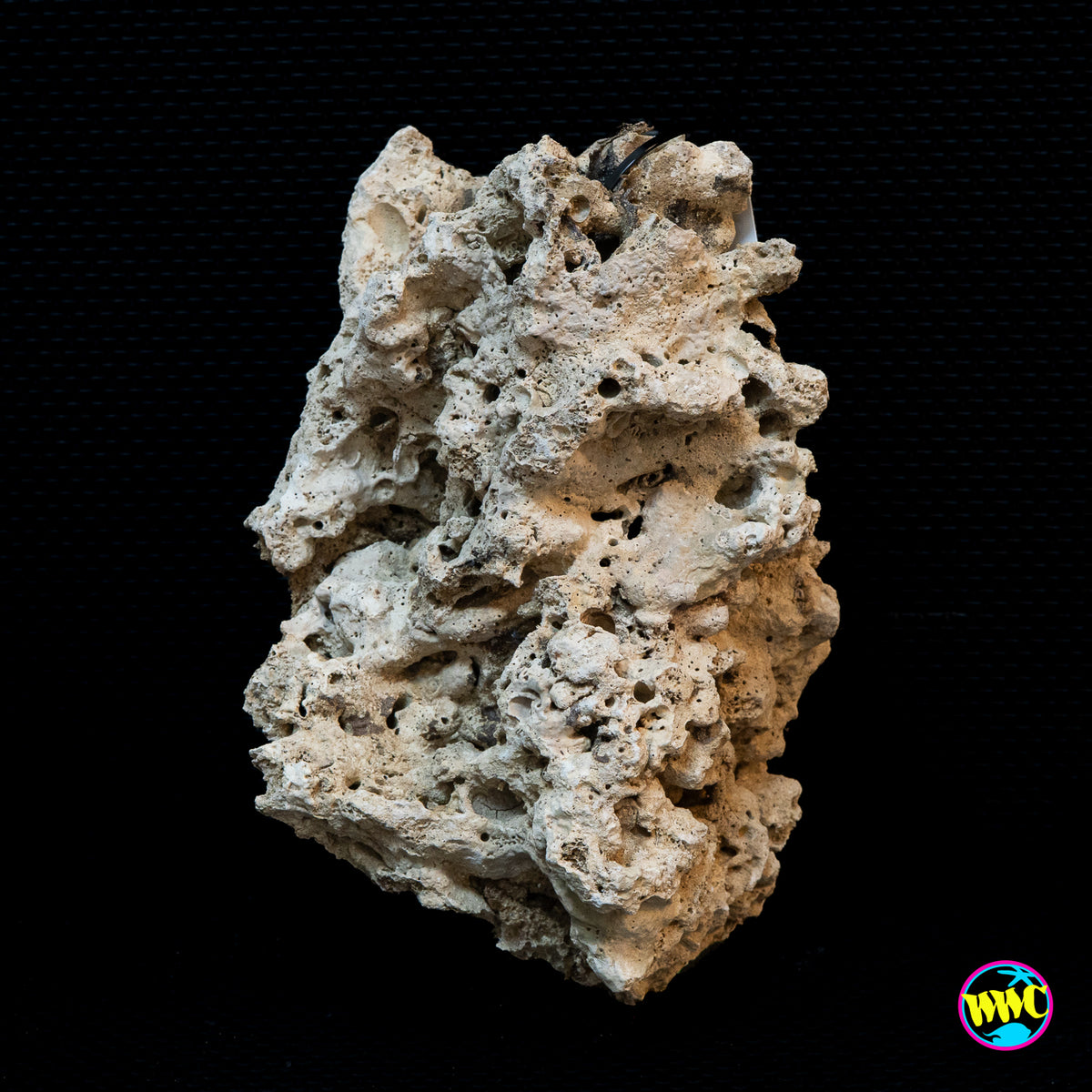Pukani Dry Rock WYSIWYG #10