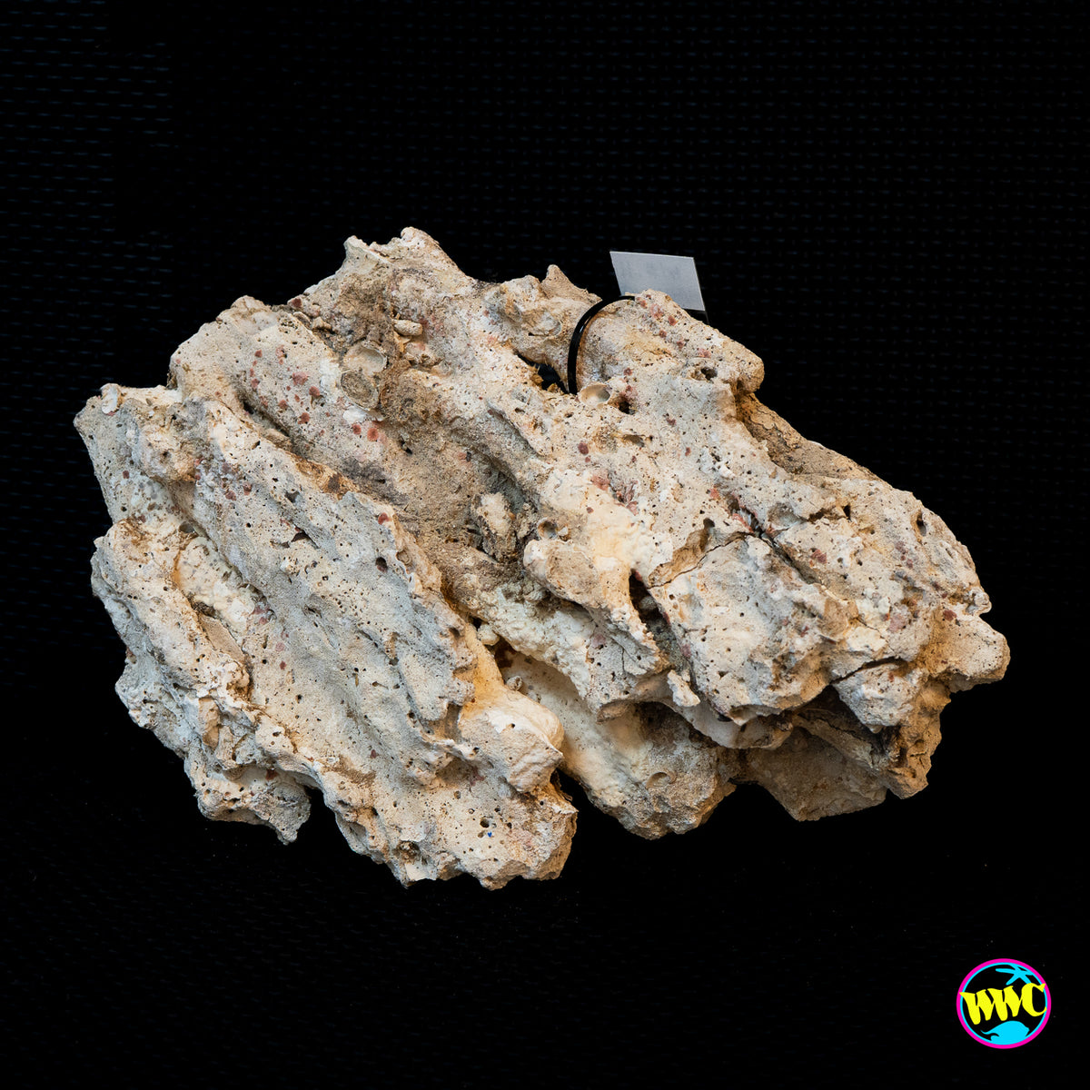 Pukani Dry Rock WYSIWYG #11