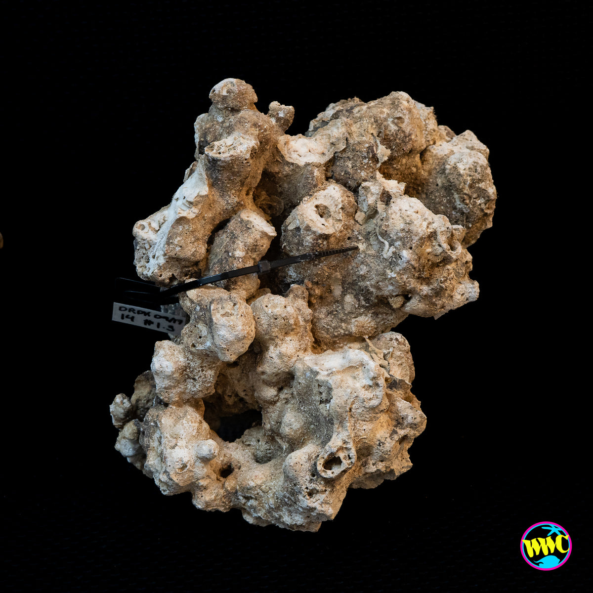Pukani Dry Rock WYSIWYG #13